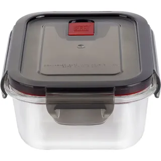 ZWILLING 39506-001, Box, Quadratisch, 0,6 l, Transparent, Glas, Kunststoff, Kunststoff - Transparent