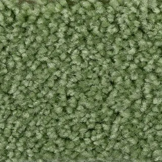 BODENMEISTER Teppichboden "Veloursteppich Pegasus" Teppiche Wohnzimmer, Schlafzimmer, Kinderzimmer, Breite 400500 cm Gr. B/L: 700 cm x 500 cm, 10 mm, 1 St., grün (dunkel grün) Teppichboden