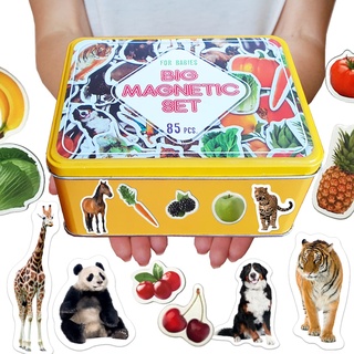 Magdum 85 Zoo + BAUERNHOFTIERE + Obst + GEMÜSE Foto Magnete Kinder für magnettafel - Magnet Spielzeug Kinder - Kühlschrankmagnete Kinder -Spielzeug ab 3 Jahre - Lernspiele ab 3 Jahre - Kinder Magnete
