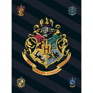 Kinderdecke »Harry Potter Fleecedecke Schwarz Kuscheldecke Wappen Magie 140 x 100cm«, Harry Potter