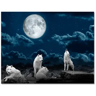 wandmotiv24 Leinwandbild Tiere, Querformat, Rudel von weißen Wölfen, Tiere (1 St), Wandbild, Wanddeko, Leinwandbilder in versch. Größen blau 100 cm x 75 cm x 1.8 cm