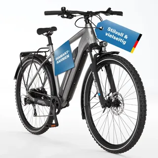 Fischer Terra 2.2 29 Zoll RH 55 cm Unisex grau