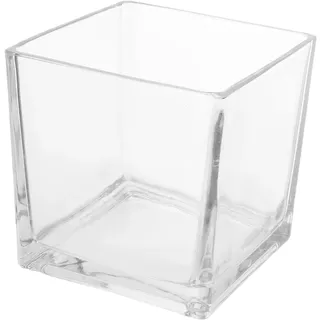 DOITOOL Vase Eckig aus Glas Quadratische Glasvase für Hydrokulturblumen Schreibtischdekorationen Robuste Tischdeko für Küche und Zuhause