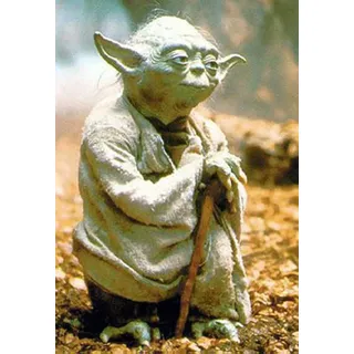 empireposter Star Wars - Poster - Yoda