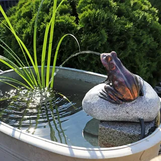 CLGarden Set Frosch Wasserspeier NSP10 Teichfigur Solarbrunnen mit Solar Pumpe für Teich Gartenteich