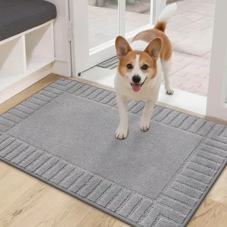 BEQHAUSE Fussmatte Innen, Waschbare und TPR rutschfeste, Hellgrau, 60x90cm | Schmutzfangmatte für Haustür, Super Saugfähiger Fussmatte Teppich für Eingang, Haustiere, Hunde, Polyester, Niedriges Design
