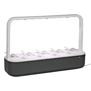 EMSA CLICK&GROW  Smart Garden 9, grau