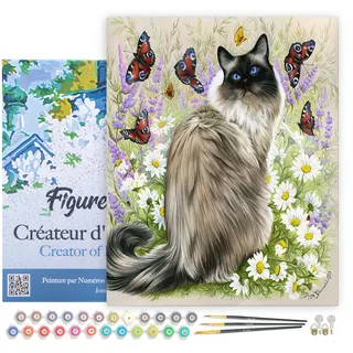 Figured'Art Malen Nach Zahlen Erwachsene Mit Rahmen Katze und Schmetterlinge - Paint by Numbers Basteln DIY Bastelset 40x50cm Leinwand gespannt auf Holzrahmen