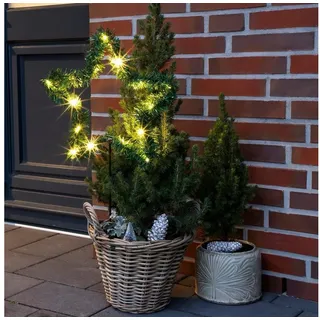 Benelando LED Weihnachtsstern Gartenstecker Metall grün