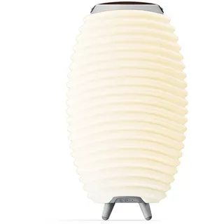 KOODUU Synergy 50 Tragbarer LED Bluetooth Lautsprecher mit Getränkekühler