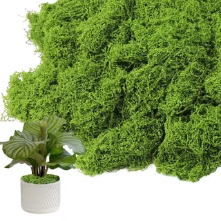150g Moos,Dunkelgrün Künstliches Moos Deko,Basteln Kunstmoos Zum Dekorieren,Fake Kunstmoos für DIY Dekoration,Bastelkunst,Topf Hochzeitsaccessoires,Aquarium,übertöpfe,Wände, Weihnachtsdekoratio