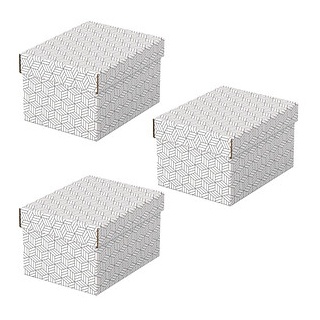 3 Esselte Home Aufbewahrungsboxen 6,5 l weiß 20,0 x 25,5 x 15,0 cm