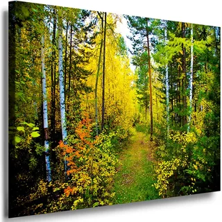 Julia-Art Leinwandbilder Landschaft Bild 80 x 60 x 2 cm - Wandbild 1 teilig - Wand Deko Modern Design Kunstdruck Sonne Herbst Wald HR12-4