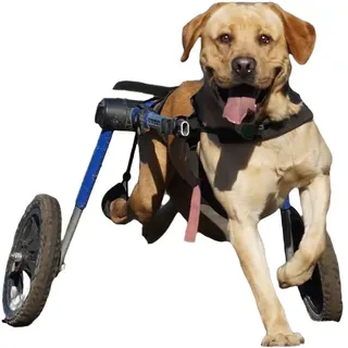 Handicapped Pets Walkin' Wheels Rollwagen für Hunde 1 St