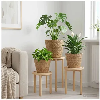 vidaXL Pflanzenkörbe 3 pcs Ø 26 x 19 cm Beige