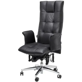 Haider Bioswing Bioswing 780 iQ Detensor Ergonomisch