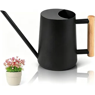 Giesskanne Zimmerpflanzen, Edelstahlgießkanne,1000ml Gießkanne Schwarz | Metall Edelstahl Gießkanne, Kleine Gießkannefür Zimmerpflanzen Bonsai Outdoor Garten Blume Deko