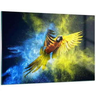 Wandbilder Dekoration Wohnzimmer Papagei Vogel Feder Bilder auf Glas 120x80cm Glasbild Schlafzimmer Küche Deko Wand Kunstdruck Art Groß XXL Wanddeko Bild im Glas Modern Wall Decor GAA120x80-3666