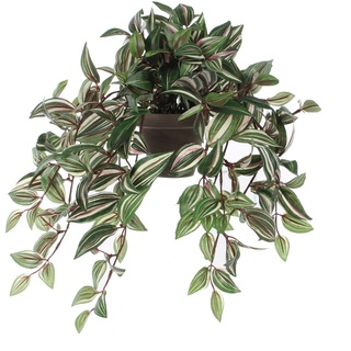 Mica Kunstpflanze Tradescantia hängend grün im Topf 45 x 25 x 25 cm