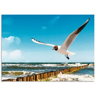 Artland Küchenrückwand Ostsee, (1-tlg), Alu Spritzschutz mit Klebeband, einfache Montage blau 70 cm x 50 cm