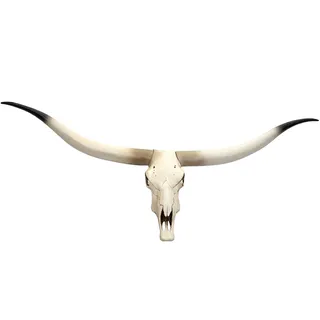 Mendler Deko Kuhschädel HWC-D32AM, Stierkopf Bulle Tierkopf Longhorn Trophäe, Polyresin 103x43x11cm