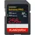 SDXC UHS-II V90 R310/W304 256 GB