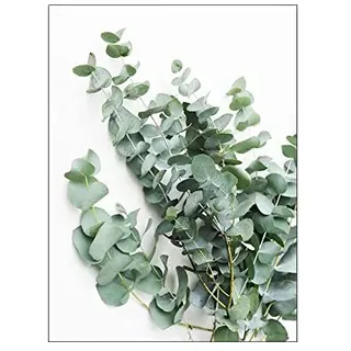 ABCWARRT Nordic City Landschaft Bogen Leinwand Malerei Eukalyptus Bild Blatt Poster Grüner Baum Und Auto Malerei Wandkunst Für Wohnkultur (30 * 40cm Kein Rahmen,9)