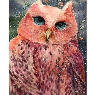 EOBROMD 5D Diamond Painting Kit, Full Drill Diamond Painting Pictures Cute Owl Diamond Painting Adults Children Diamond Painting Kit Animals Paint by Number Crafts for Decoration (30x40cm)