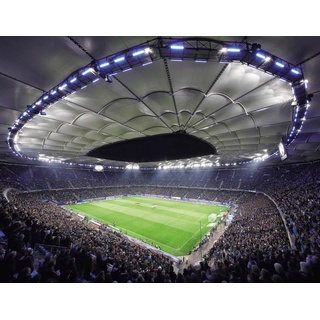 Wall-Art Vliestapete Hamburger SV im Stadion bei Nacht, made in Berlin bunt