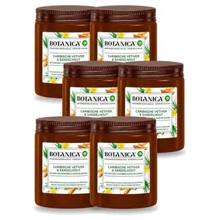 6 x Botanica by Air Wick Duftkerze - Vetiver & Sandelholz - Vorteilspackung - 6 Stücke