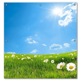 Sonnenschutz Sommerwiese - Weiße Gänseblümchen vor blauem Himmel, Wallario, blickdicht, mit Saugnäpfen, wiederablösbar und wiederverwendbar grün 96 cm x 100 cm