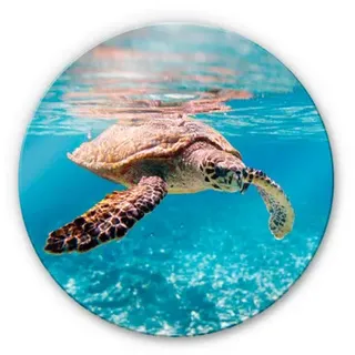 K&L Wall Art Glasbild »Glasbild«, Ø 50 cm, Unterwasser Ozean Schildkröte rund