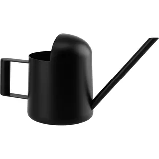 Gießkanne Klein Edelstahl, 300ml,Mini Gießkanne Schwarz, mit langem Hals | Metallgießkanne für Zimmerpflanzen, Topfpflanzen und Hängepflanzen
