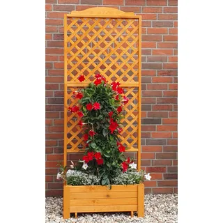 Promadino Romantica Rankkasten 80 x 38 cm Braun