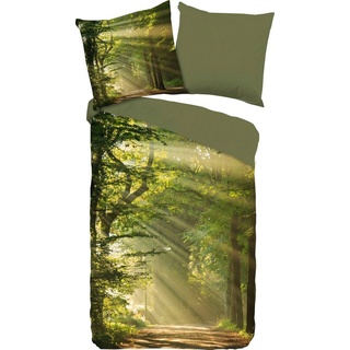 Bettwäsche »Woods Bettwäsche-Set Bettbezug & Kissenbezüge«, good morning, Renforcé, 2 teilig, mit Waldmotiv grün 1 St. x 140 cm x 220 cm