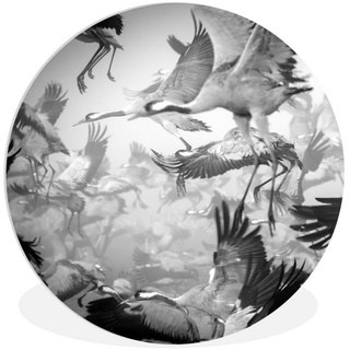 MuchoWow Gemälde Kranich - Schwarz und weiß - Tiere - Vögel, (1 St), Kreis Wanddekoration Forex, Rundes Wandbild, Wohnzimmer, 30x30 cm bunt 30 cm x 30 cm