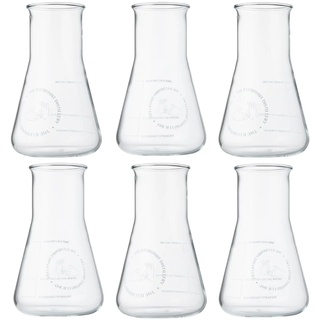 The Illusionist Dry Gin Glas | Gin & Tonic Glas 6er Set | Premium Erlenmeyerkolben | Perfect Serve | 250ml