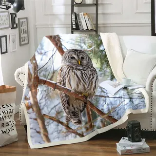 Homemissing Eule Wohndecke 3D Tier Druckened Decke 150x200cm für Kinder Jugendliche Vogel Dekor Kuscheldecke Schlafzimmer Dekor Natur Thema Zimmer Dekor Flanell Fleecedecke