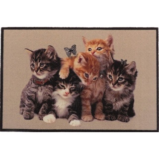 oKu-Tex Design Fußmatte Katzen Kätzchen Kitten, lustiges & niedliches Motiv, rutschfest & waschbar, Deko Dekorativ, braun, 40 x 60 cm, Kleine Katzen
