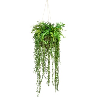 Künstliche Zimmerpflanze CREATIV GREEN "Dekokugel zum Hängen" Kunstpflanzen Gr. Ø/H: 40 cm x 120 cm, 1 St., grün Künstliche Zimmerpflanze Zimmerpflanzen