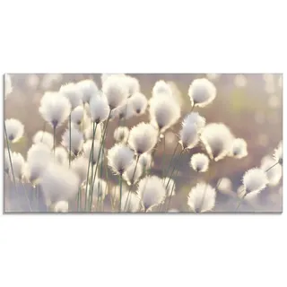 ARTland Wanddeko Glasbilder Wandbild Glas Bild einteilig 60 x 30 cm Natur Zauber Idyll Frühling Moor Pflanzen Gräser Blumen Wollgras T2BZ