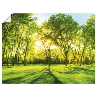 Poster ARTLAND "Frühlingswärme II", grün (farbe bild(er): grün), B:60cm H:45cm, Bilder, Poster, ohne Rahmen