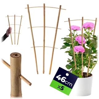 KADAX Rankgitter aus Bambus, 46 x 27 cm, 5er Set, Rankhilfe für Pflanzen, Pflanzengitter, Kletterhilfe & Pflanzstütze für Zimmerpflanzen & Kletterpflanzen