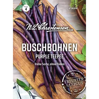 Buschbohne Purple Teepee (Portion)