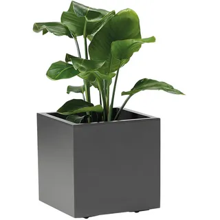 Euro3Plast Kebe 39,5 x 39,5 x 39,5 cm Anthrazit