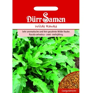 Dürr Samen Dürr-Samen - Wilde Rauke Saatgut