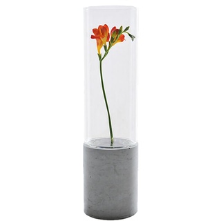 GODELMANN Vase aus hochwertigem Beton - handgefertigt Ø 10cm x Höhe 38cm in Grau I Blumenvase mit passgenauem Glas - mineralimprägniert - Made in Germany