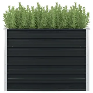 Hochbeet Anthrazit 100 X 100 X 77 Cm Verzinkter Stahl Vidaxl