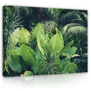 Wallarena Leinwandbild Blätter Dschungel Wald Tropisch Wandbild XXL Leinwandbilder Modern, Tropenblätter (Einteilig), Aufhängefertig 60 cm x 40 cm