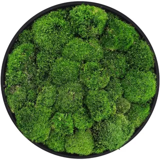 ECD Germany Baum Moosbild Rund 40x40 cm